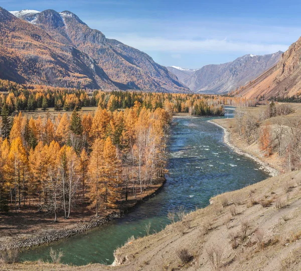 Pittoresca valle di montagna, fiume selvaggio, foresta sulla riva, Al — Foto Stock