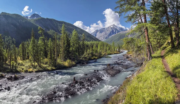 Floden rinner genom en pittoresk dal i Altai Mounta — Stockfoto