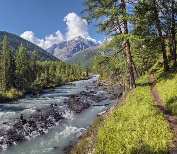O rio corre através de um pitoresco vale na Montanha Altai — Fotografia de Stock
