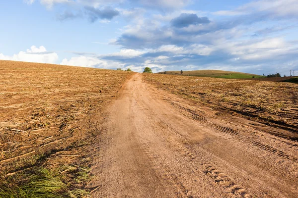 Hillside Dirt Road Landscape — Stock Photo, Image