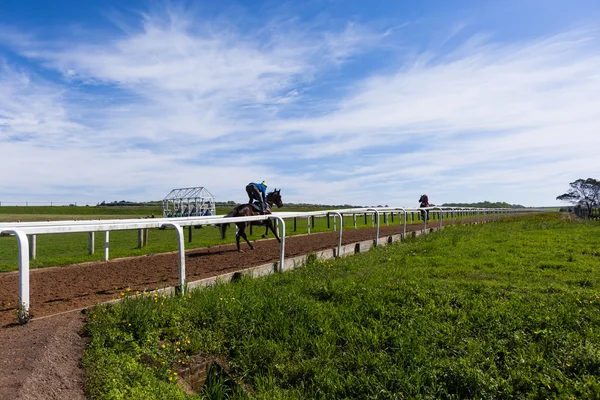 Race Horses Training Runs — ストック写真