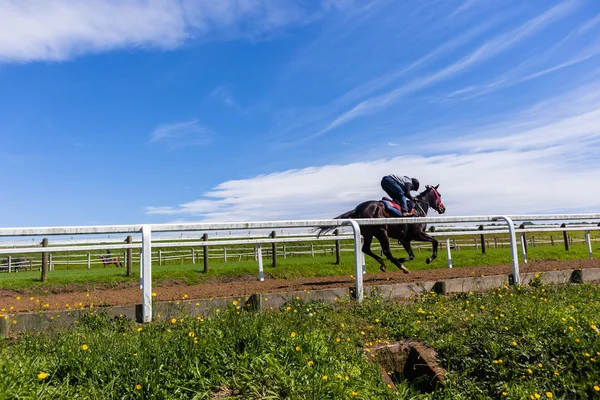 Jockey-Training für Rennpferde — Stockfoto