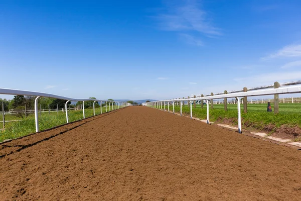 Corrida de cavalos pista de treinamento — Fotografia de Stock
