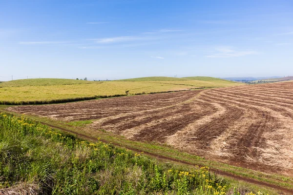 Farm Harvested Landscape — Stock Photo, Image