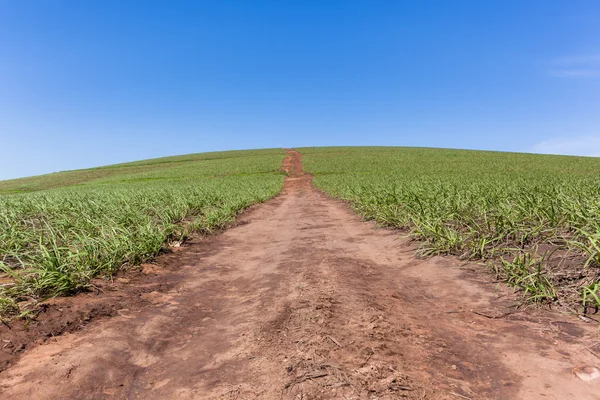 Hillside ufuk toprak yol tarım — Stok fotoğraf