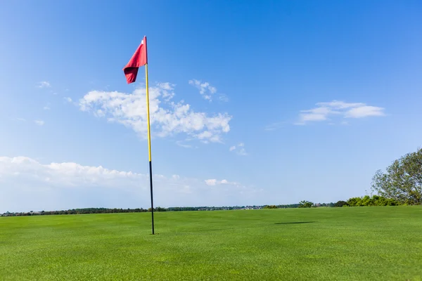 Zielony Flagstick z zapleczem golfowym — Zdjęcie stockowe