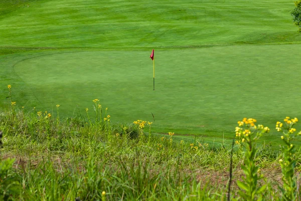 Zöld Flagstick Golf — Stock Fotó