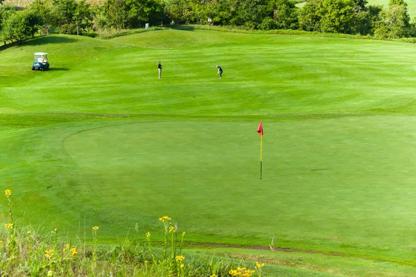 Golf Golfers Green Flagstick — Stock Photo, Image