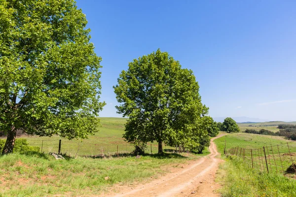 Paisaje escénico de tierras agrícolas — Foto de Stock