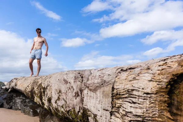 Uomo in piedi grande albero spiaggia — Foto Stock