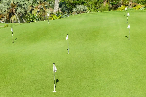 Golfbana puttinggreen hål flagga pinnar — Stockfoto