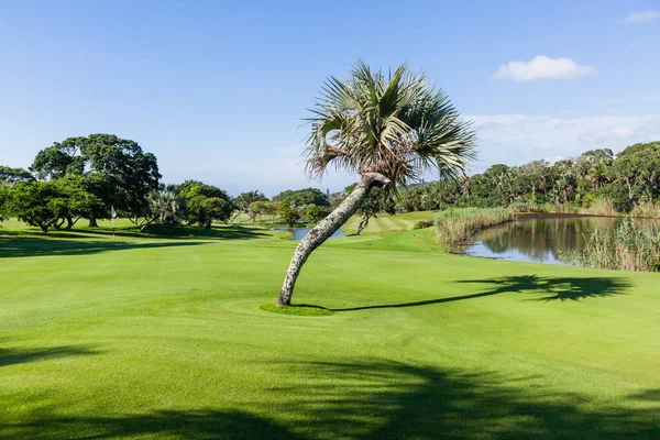 Pole golfowe otworu woda zielony — Zdjęcie stockowe