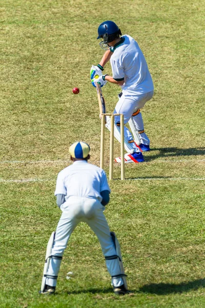 Cricket Batsman Wicket Keeper jogo de ação — Fotografia de Stock