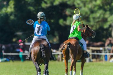 Polocrosse atlar oyuncular kızlar