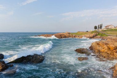 Beach kayalık sahil şeridi okyanus dalgaları