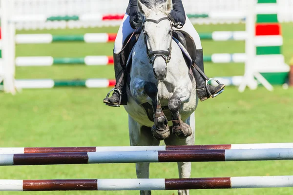 Show Jumping Horse Closeup Abstract — Stock Photo, Image