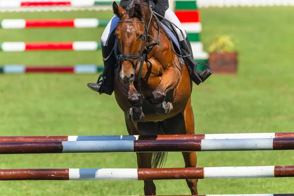 Hoppning häst närbild abstrakt — Stockfoto