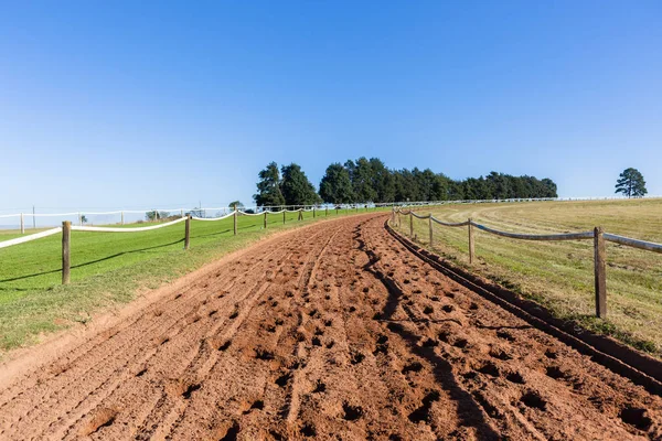 Faixas de treino de cavalos de corrida — Fotografia de Stock