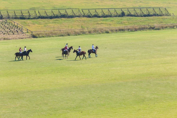 Polo graczy konie pole krajobraz — Zdjęcie stockowe