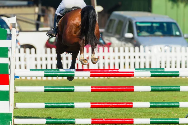 Mostrar salto caballo primer plano foto trasera —  Fotos de Stock
