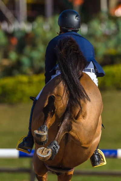 Cavallo cavaliere che salta zoccoli posteriori — Foto Stock