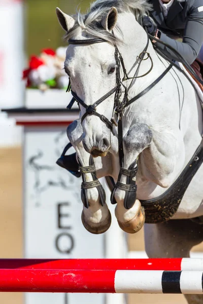 Horse Rider Jumping Closeup — Stock Photo, Image