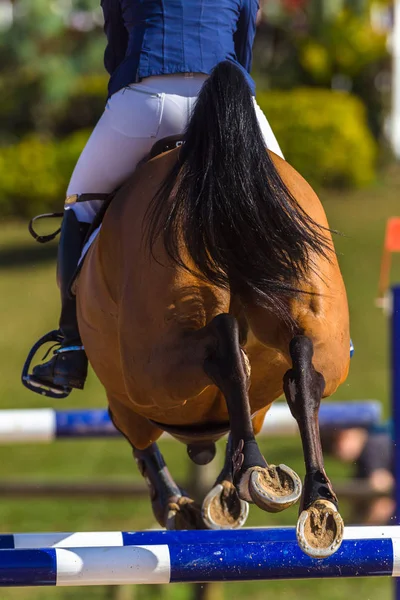 Ryttare häst hoppning närbild bak hovar — Stockfoto