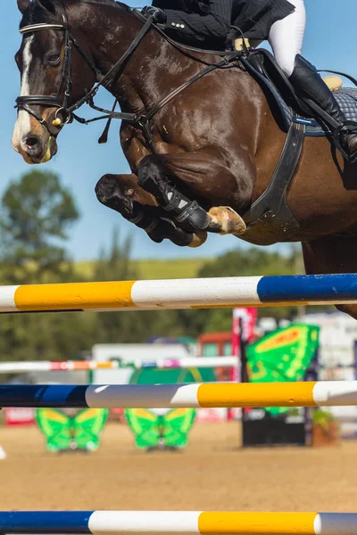 Horse Jumping Rider Closeup — Stock fotografie