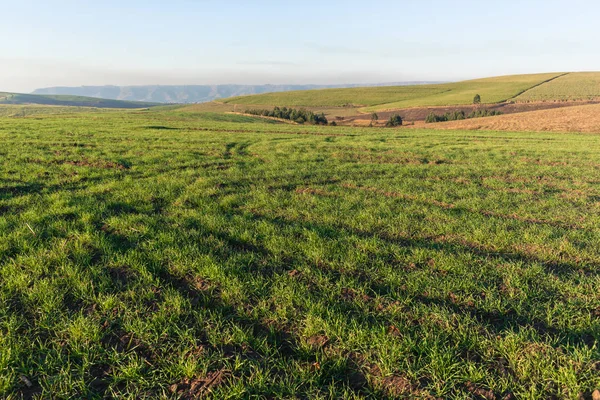 Farming Grass Field Landscape