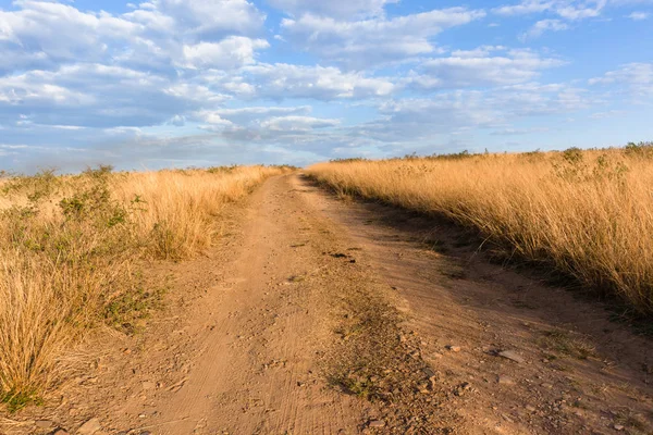 Zandweg graslanden woestijn landschap — Stockfoto