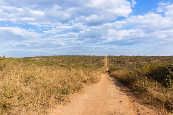 Dirt Road Wildlife Safari Landscape — Stock Photo, Image