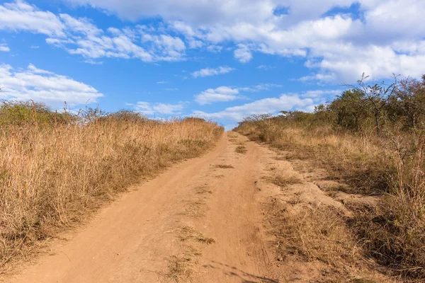 Toprak yol parça vahşi manzara — Stok fotoğraf