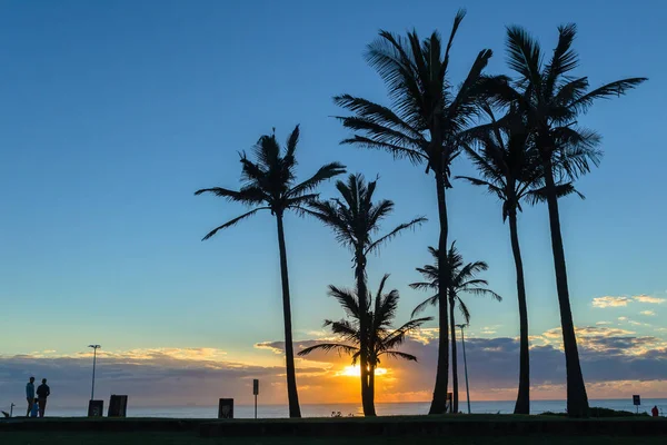 Playa Océano amanecer árboles siluetas — Foto de Stock