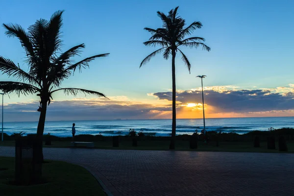 Beach Ocean Dawn Trees Silhouetted — Stock Photo, Image