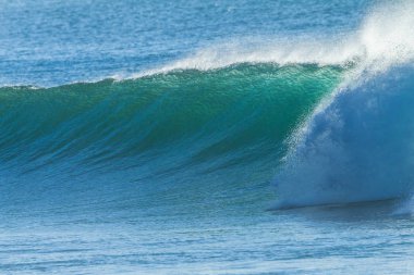 okyanus dalgası portre