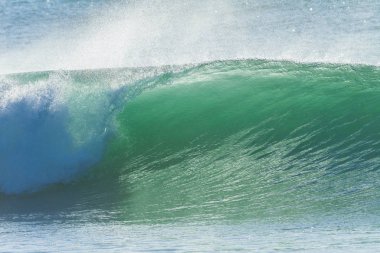 okyanus dalgası portre