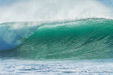 okyanus dalgası portre