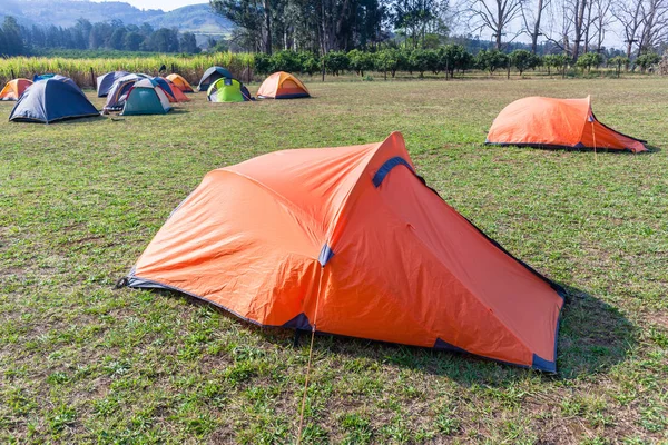 Camping Tents Dozen Outdoors — Stock Photo, Image