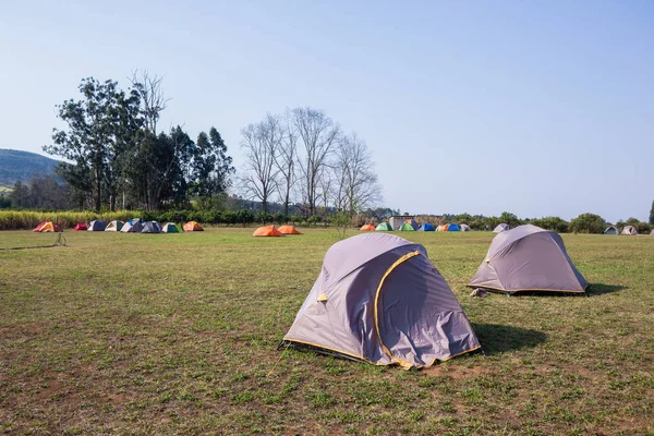 Camping Tents Dozen Outdoors — Stock Photo, Image