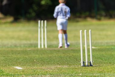Kriket Wickets adım Junior melon