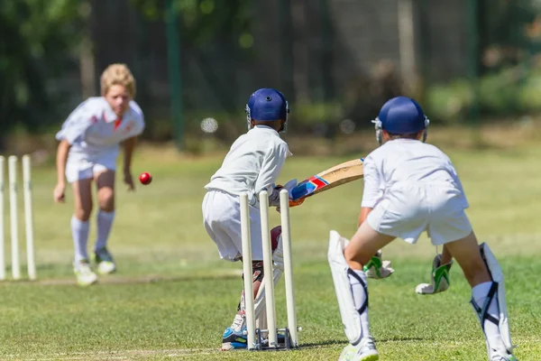 Cricket Juniors Game Action — Stock Photo, Image