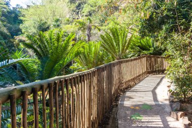 Açık havada ağaçlar Flora Park yürüyüş yolu ahşap çit