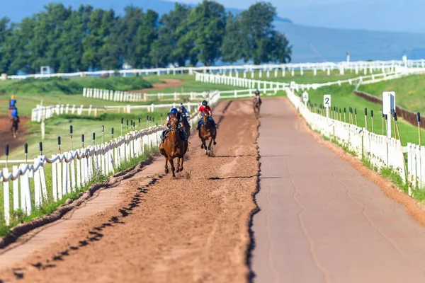 Race Horses Training — Stock Photo, Image