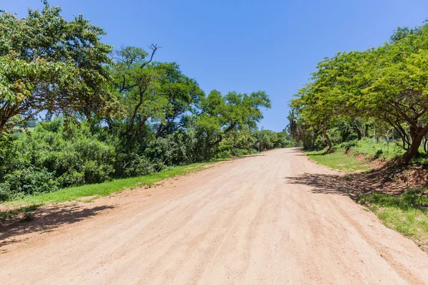 Kırsal toprak yol tropikal — Stok fotoğraf