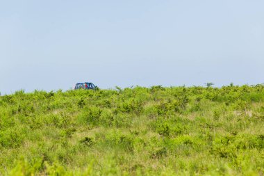 Yaban hayatı Safari turist araç