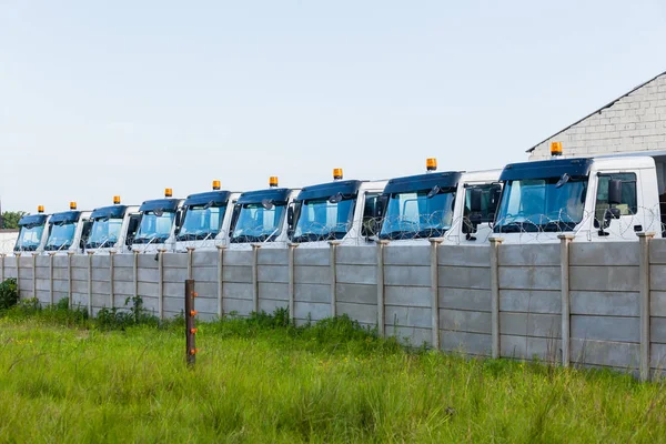 Trucks Construction Vehicles Yard — Stock Photo, Image