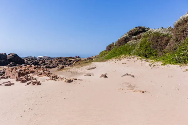 Plaży roślinność oceanu skaliste wybrzeża — Zdjęcie stockowe