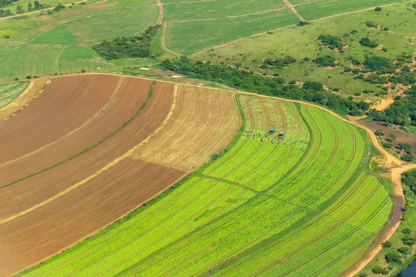 Flying Farmlands Fields Crops Landscape — Stock Photo, Image