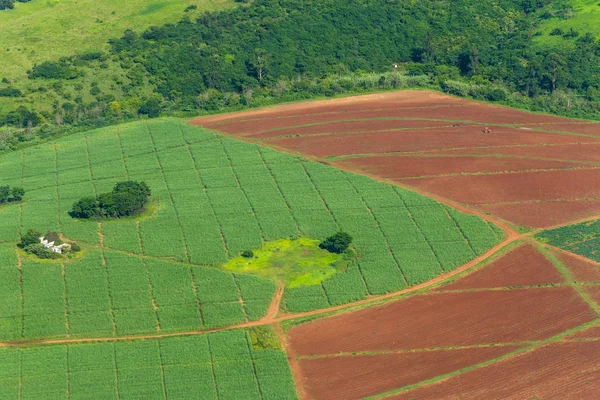 Flying Agriculture Farmland fields crop plowed rural landscape