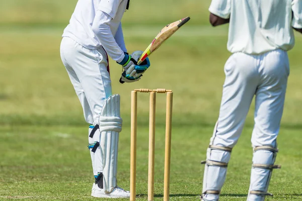 Kriket eylem topa vuran oyuncu Wickets portre — Stok fotoğraf